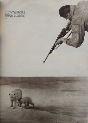 [Советские путешествия. Иллюстрированный ежемесячный журнал. Арктика. Март 1939]. 1939.